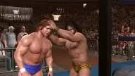 LOW JimmySnuka RoddyPiper