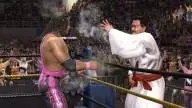 LOW MrFuji BretHart