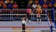 WWF RoyalRumble 1993 BretHart ShawnMichaels