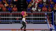 WWF RoyalRumble 1993 BretHart ShawnMichaels 3