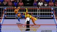 WWF RoyalRumble 1993 HulkHogan JimDuggan
