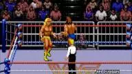 WWF RoyalRumble 1993 HulkHogan JimDuggan 2