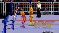 WWF RoyalRumble 1993 HulkHogan TheModel 2