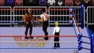 WWF RoyalRumble 1993 PapaShango IRS