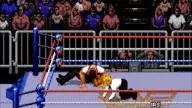 WWF RoyalRumble 1993 PapaShango IRS 2