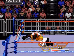 WWF RoyalRumble 1993 PapaShango IRS 2