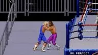 WWF RoyalRumble 1993 RandySavage MrPerfect