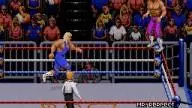 WWF RoyalRumble 1993 RandySavage MrPerfect 2