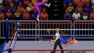 WWF RoyalRumble 1993 RandySavage MrPerfect 3
