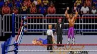 WWF RoyalRumble 1993 RandySavage MrPerfect 4