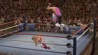 LOW ShawnMichaels BretHart 5