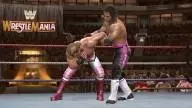 LOW ShawnMichaels BretHart 6