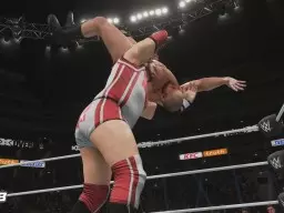 WWE2K18 NewMoves CrashLanding