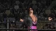 DayOfReckoning BretHart 3