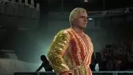 DayOfReckoning RicFlair 3