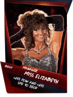 SuperCard Support MissElizabeth S4 16 Beast