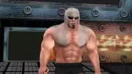 WrestleManiaXIX ScottSteiner 2