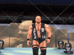 WrestleManiaXIX SteveAustin