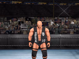 WrestleManiaXIX SteveAustin 3
