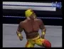 Raw2 HulkHogan