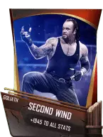 SuperCard Support SecondWind S4 20 Goliath