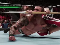 WWE2K19 DanielBryan13 RandyOrton13 11