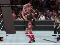 WWE2K19 DanielBryan13 RandyOrton13 8