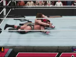 WWE2K19 DanielBryan13 RandyOrton13 9