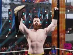 WWE2K19 Sheamus 2