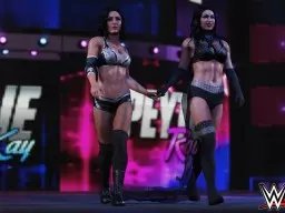 WWE2K19 IIconics