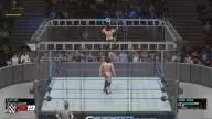 WWE2K19 Steel Cage