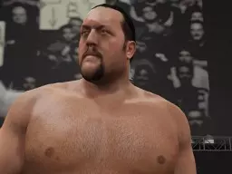 WWE2K16 PaulWight