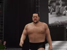 WWE2K16 PaulWight 2