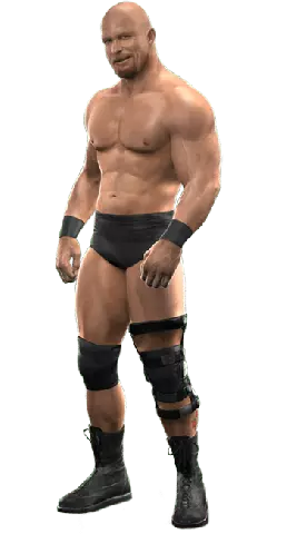 SvR2010 Render SteveAustin