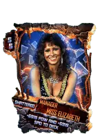 SuperCard MissElizabeth S5 24 Shattered