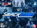 WWE 2K20 Collector Edition SmackDown Cover US