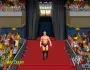 Wrestlefest Ziggler