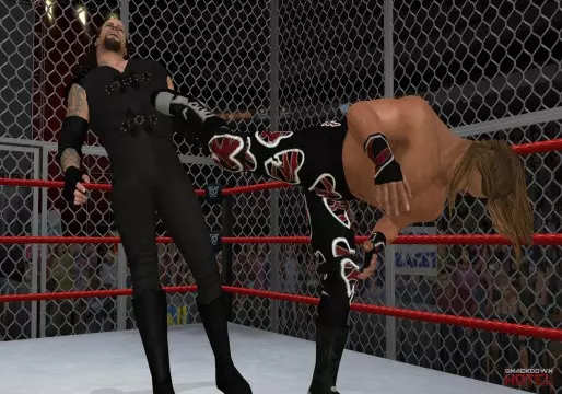 WWE13 Wii HBKTaker