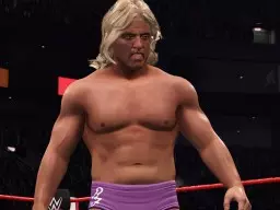 wwe2k22 ricflair