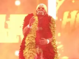 wwe2k22 hulk hogan 1