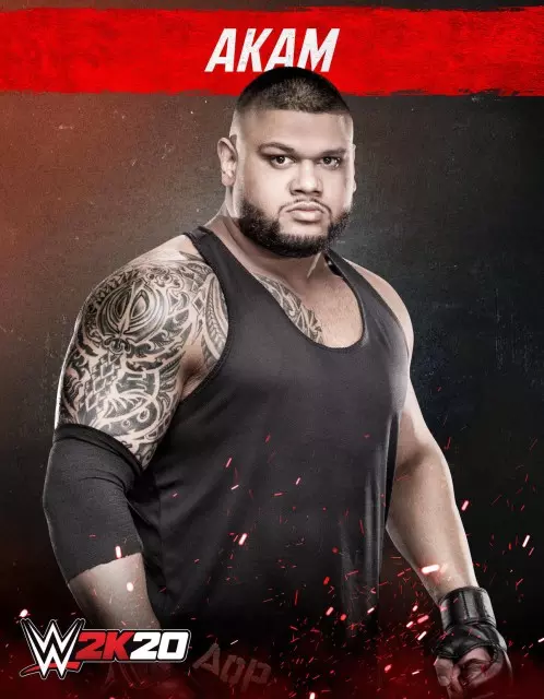 wwe2k20 artworks akam