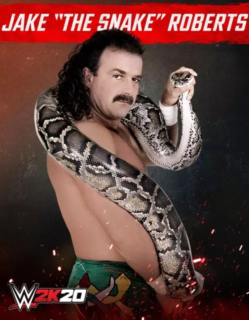 wwe2k20 artworks jake roberts