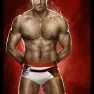 wwe2k14 artworks antonio cesaro