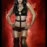 wwe2k14 artworks brie bella
