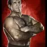 wwe2k14 artworks bruno sammartino