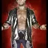 wwe2k14 artworks chris jericho retro