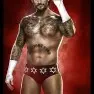 wwe2k14 artworks cm punk
