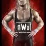 wwe2k14 artworks curt hennig nwo