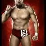 wwe2k14 artworks daniel bryan
