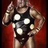 wwe2k14 artworks dusty rhodes
